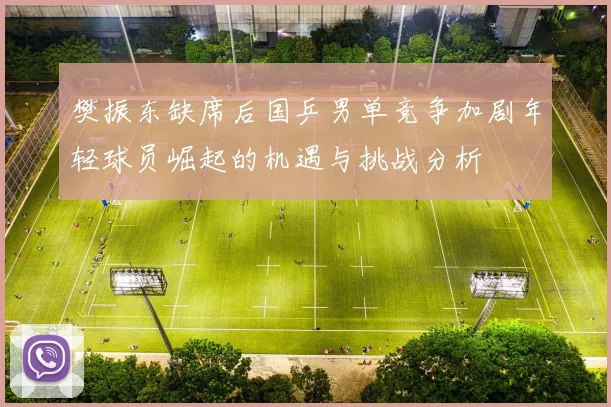 樊振东缺席后国乒男单竞争加剧年轻球员崛起的机遇与挑战分析