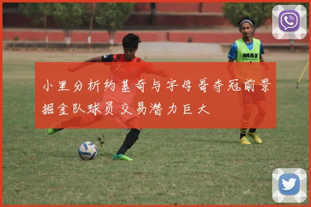 小里分析约基奇与字母哥夺冠前景掘金队球员交易潜力巨大